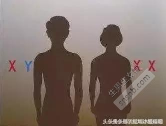 ＂酸性男性和碱性女性 ＂是事实还是伪科学？