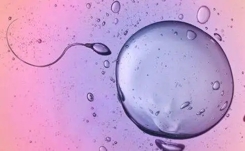 佛山借卵试管助孕成功率：试管婴儿移植成功的症状有哪些？哪些因素影响试管婴儿移植的成功率？
