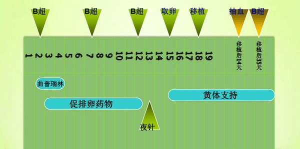 重庆助孕公司花费：长和短的体外物理刺激方案的区别