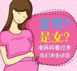 香港助孕生子机构：具有专业准确性的高效性别检查安排