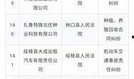 壹彤集团最新爆料,揭秘企业变革背后的秘密与机遇