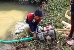 抓鱼视频爆料大全最新,揭秘水下奇观与神秘生物
